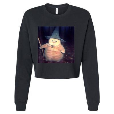 Wizard Cat Weird Funny Halloween Cat Meme Cropped Pullover Crew