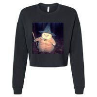 Wizard Cat Weird Funny Halloween Cat Meme Cropped Pullover Crew
