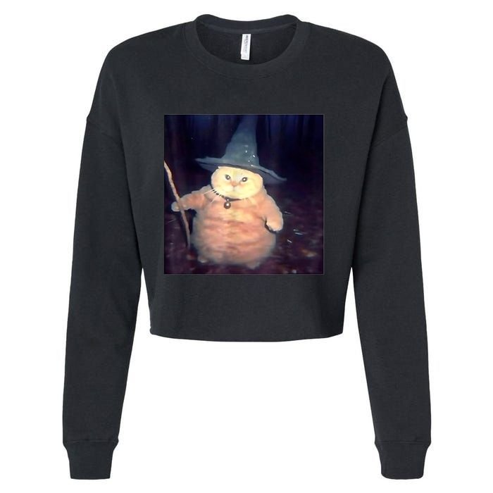 Wizard Cat Weird Funny Halloween Cat Meme Cropped Pullover Crew