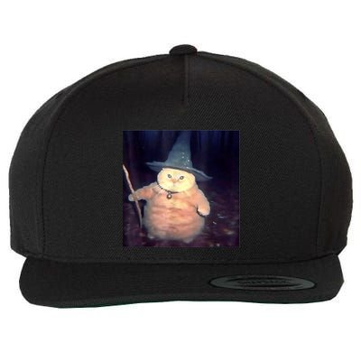 Wizard Cat Weird Funny Halloween Cat Meme Wool Snapback Cap