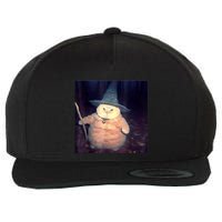 Wizard Cat Weird Funny Halloween Cat Meme Wool Snapback Cap