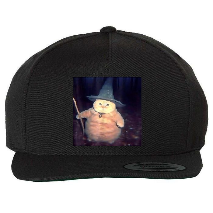 Wizard Cat Weird Funny Halloween Cat Meme Wool Snapback Cap
