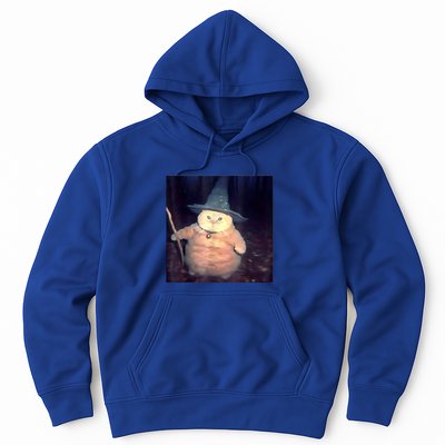 Wizard Cat Weird Funny Halloween Cat Meme Hoodie
