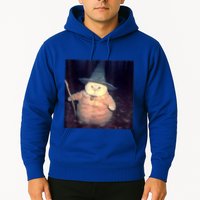 Wizard Cat Weird Funny Halloween Cat Meme Hoodie