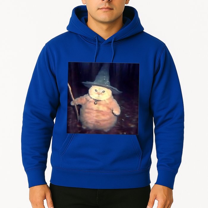 Wizard Cat Weird Funny Halloween Cat Meme Hoodie