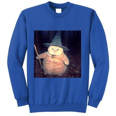 Wizard Cat Weird Funny Halloween Cat Meme Sweatshirt