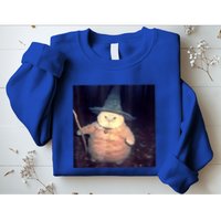 Wizard Cat Weird Funny Halloween Cat Meme Sweatshirt