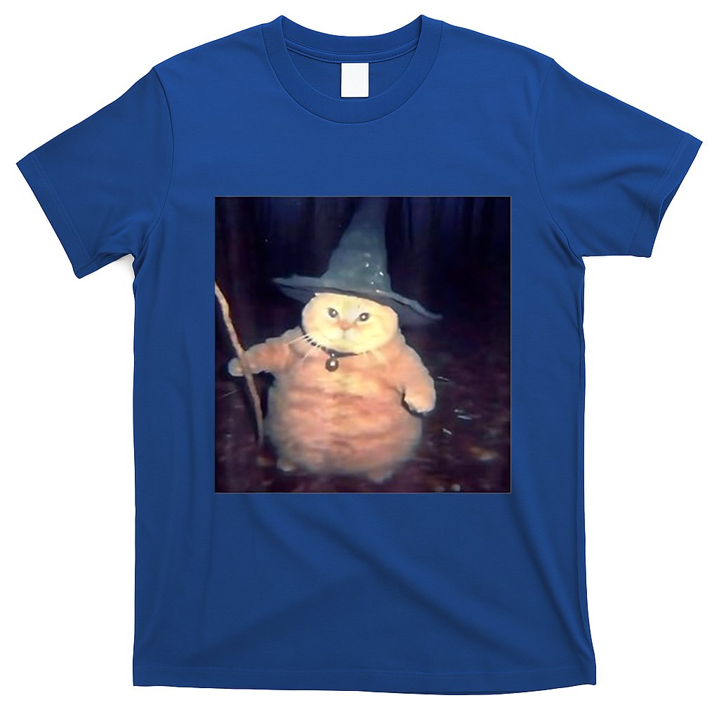 Wizard Cat Weird Funny Halloween Cat Meme T-Shirt