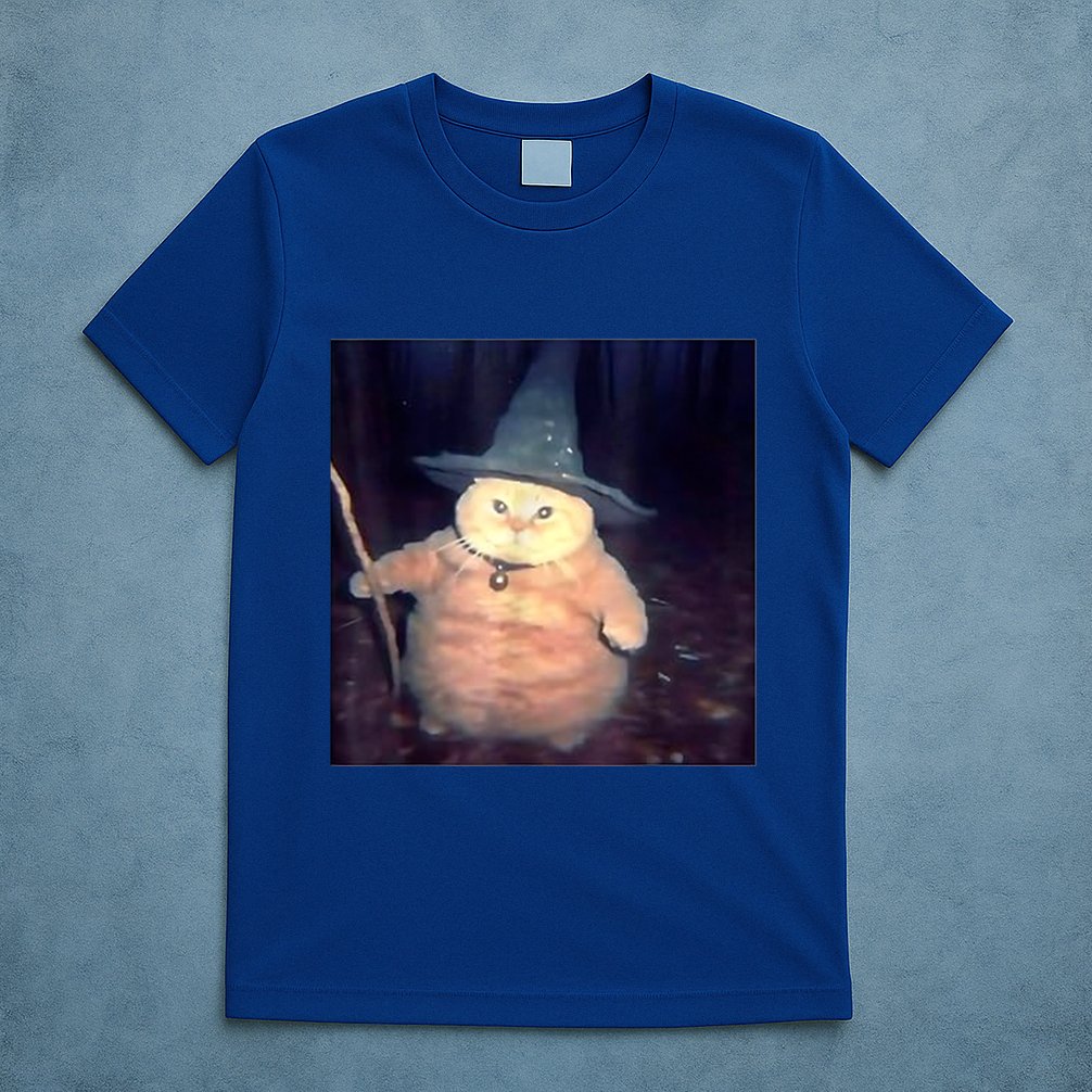 Wizard Cat Weird Funny Halloween Cat Meme T-Shirt