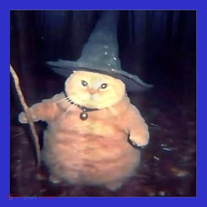 Wizard Cat Weird Funny Halloween Cat Meme 16 in Basic Backpack