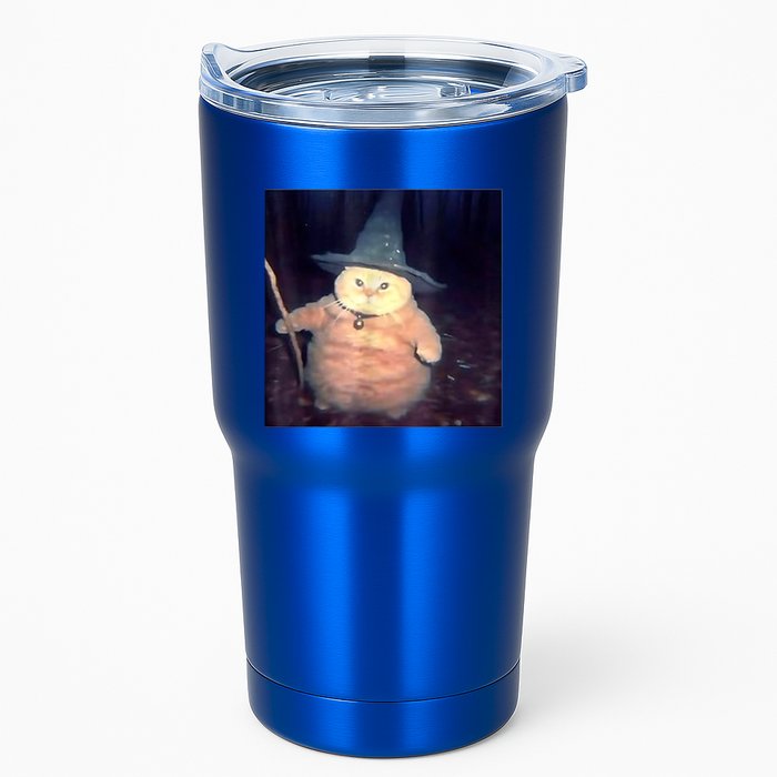 Wizard Cat Weird Funny Halloween Cat Meme Tumbler