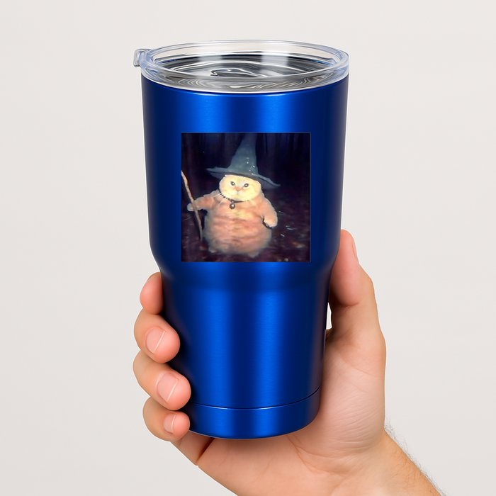 Wizard Cat Weird Funny Halloween Cat Meme Tumbler