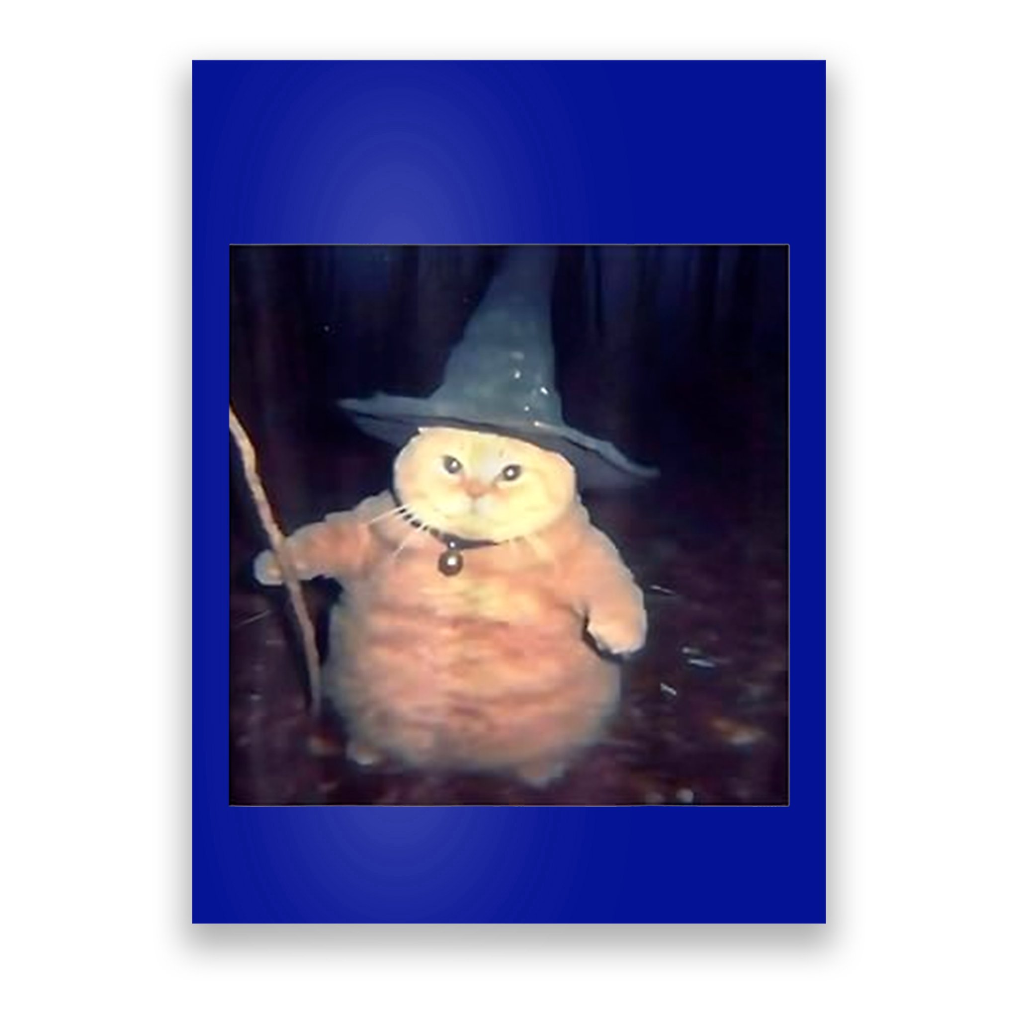 Wizard Cat Weird Funny Halloween Cat Meme Poster