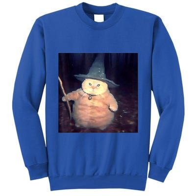 Wizard Cat Weird Funny Halloween Cat Meme Tall Sweatshirt