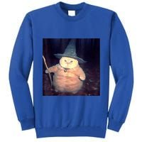 Wizard Cat Weird Funny Halloween Cat Meme Tall Sweatshirt