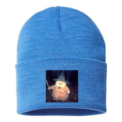 Wizard Cat Weird Funny Halloween Cat Meme Sustainable Knit Beanie