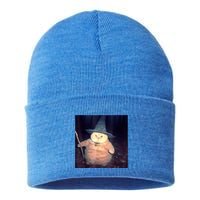 Wizard Cat Weird Funny Halloween Cat Meme Sustainable Knit Beanie