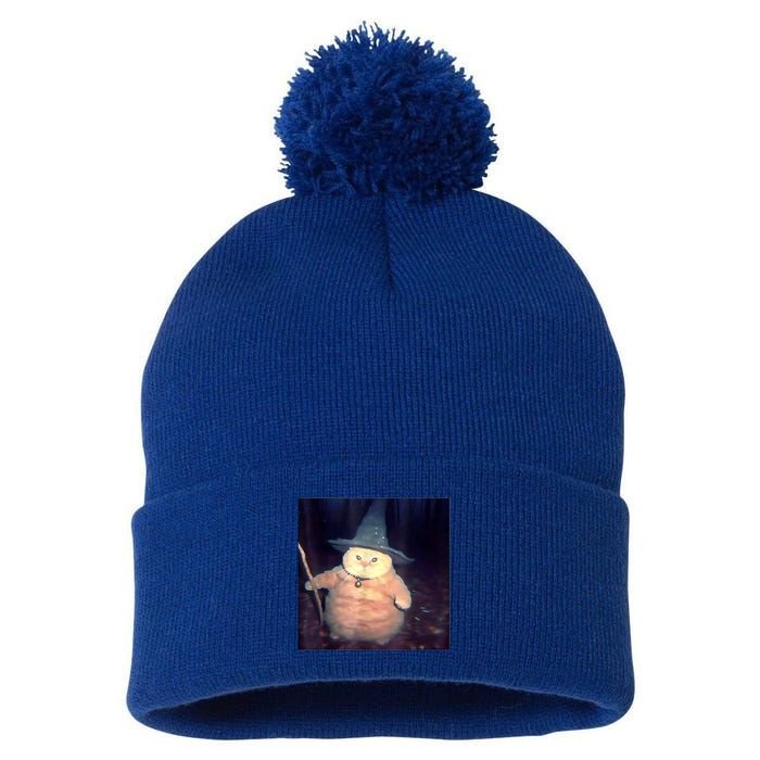 Wizard Cat Weird Funny Halloween Cat Meme Pom Pom 12in Knit Beanie