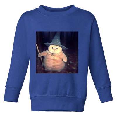 Wizard Cat Weird Funny Halloween Cat Meme Toddler Sweatshirt