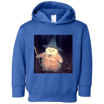 Wizard Cat Weird Funny Halloween Cat Meme Toddler Hoodie