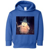 Wizard Cat Weird Funny Halloween Cat Meme Toddler Hoodie