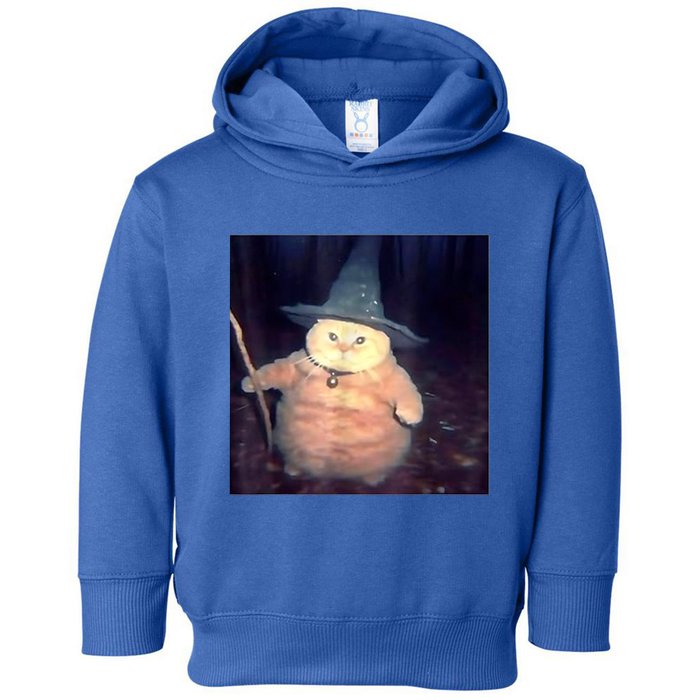 Wizard Cat Weird Funny Halloween Cat Meme Toddler Hoodie