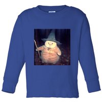 Wizard Cat Weird Funny Halloween Cat Meme Toddler Long Sleeve Shirt