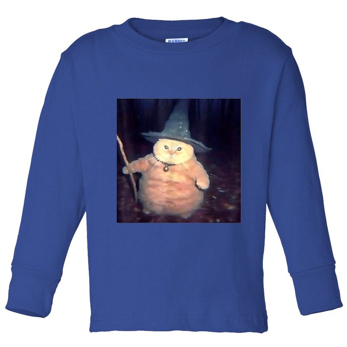 Wizard Cat Weird Funny Halloween Cat Meme Toddler Long Sleeve Shirt