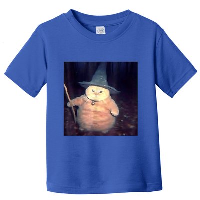 Wizard Cat Weird Funny Halloween Cat Meme Toddler T-Shirt