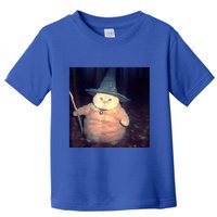 Wizard Cat Weird Funny Halloween Cat Meme Toddler T-Shirt