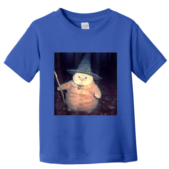 Wizard Cat Weird Funny Halloween Cat Meme Toddler T-Shirt