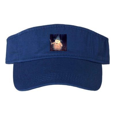 Wizard Cat Weird Funny Halloween Cat Meme Visor