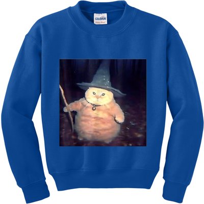 Wizard Cat Weird Funny Halloween Cat Meme Kids Sweatshirt