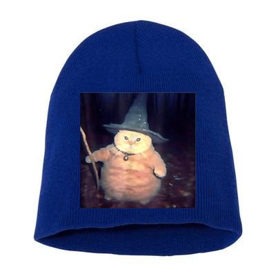 Wizard Cat Weird Funny Halloween Cat Meme Short Acrylic Beanie