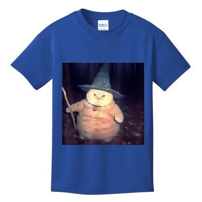Wizard Cat Weird Funny Halloween Cat Meme Kids T-Shirt