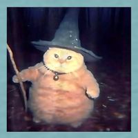 Wizard Cat Weird Funny Halloween Cat Meme Sueded Cloud Jersey T-Shirt