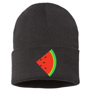 Watermelon Costume Watermelon Slice Couple Matching Sustainable Knit Beanie