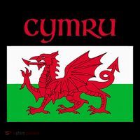 Wales Cymru Welsh Flag Apron