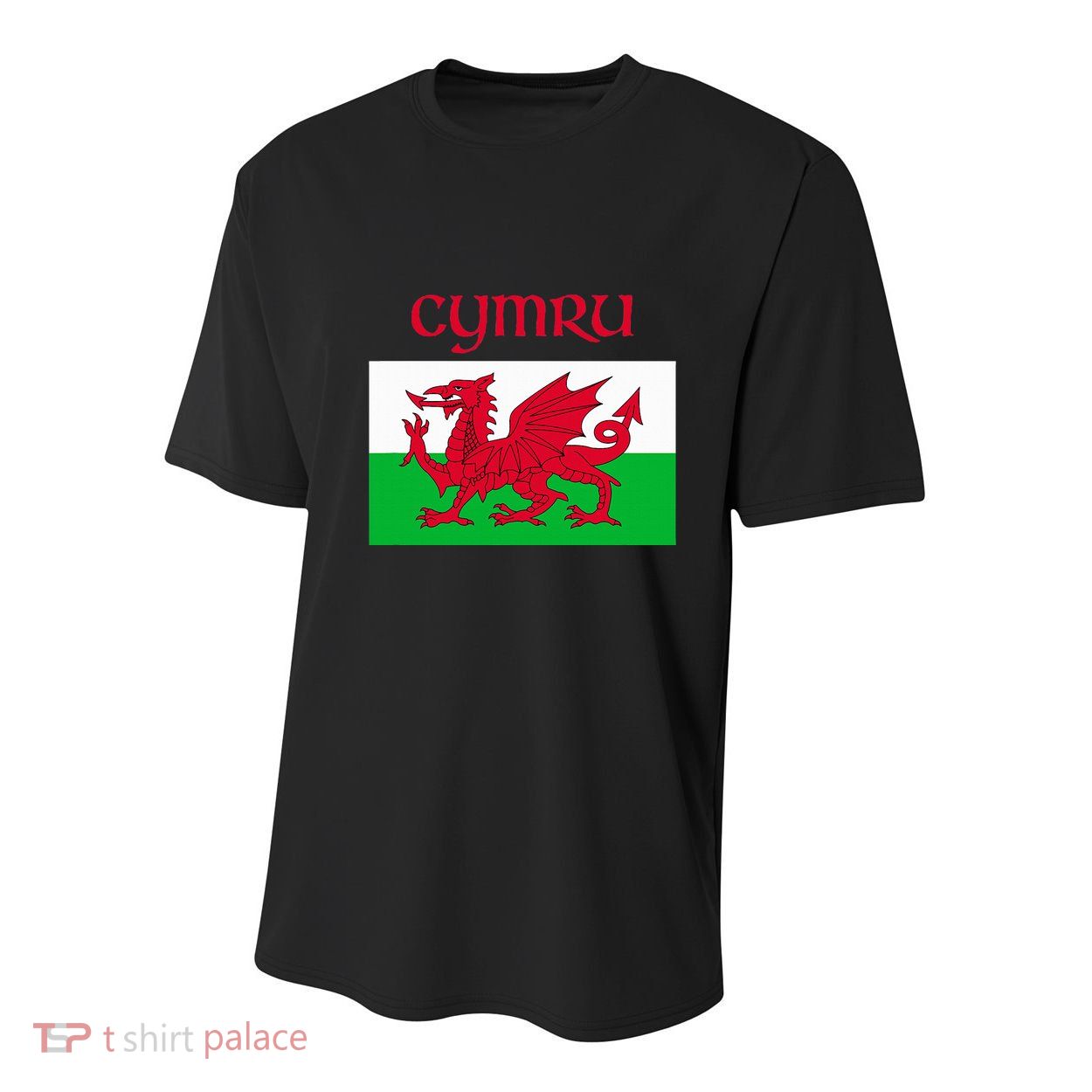 Wales Cymru Welsh Flag Youth Performance Sprint T-Shirt