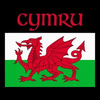 Wales Cymru Welsh Flag Pom Pom 12in Knit Beanie