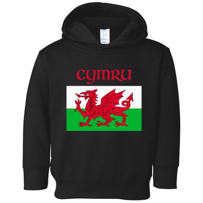 Wales Cymru Welsh Flag Toddler Hoodie