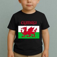 Wales Cymru Welsh Flag Toddler T-Shirt
