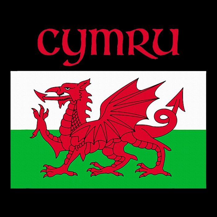 Wales Cymru Welsh Flag Wool Snapback Cap