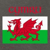 Wales Cymru Welsh Flag Cotton Canvas Backpack