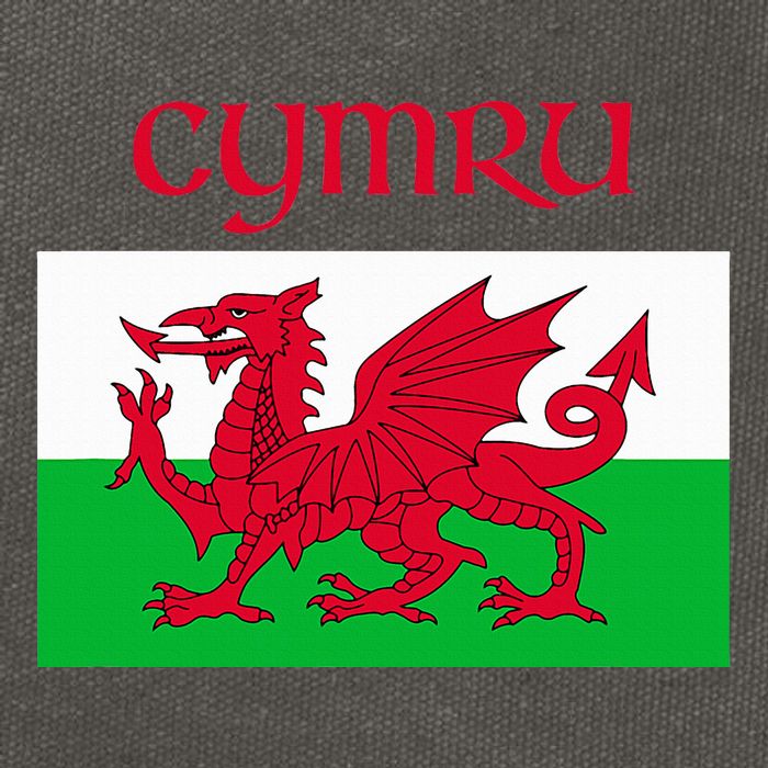 Wales Cymru Welsh Flag Cotton Canvas Backpack