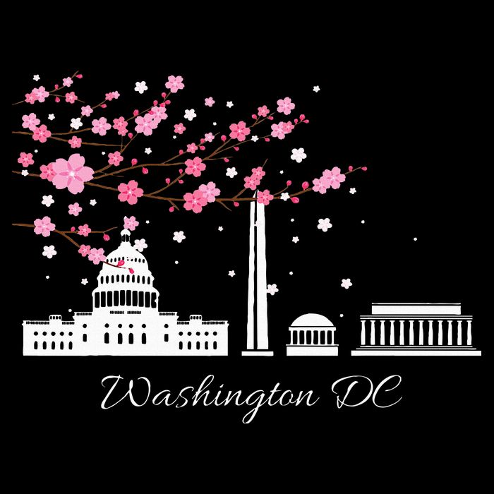 Washington Dc Cherry Blossoms Monuments Memorial T-Shirt