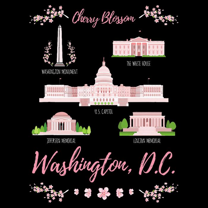 Washington Dc Cherry Blossom Monument Button