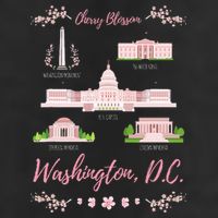 Washington Dc Cherry Blossom Monument 11oz C Handle Ceramic Mug