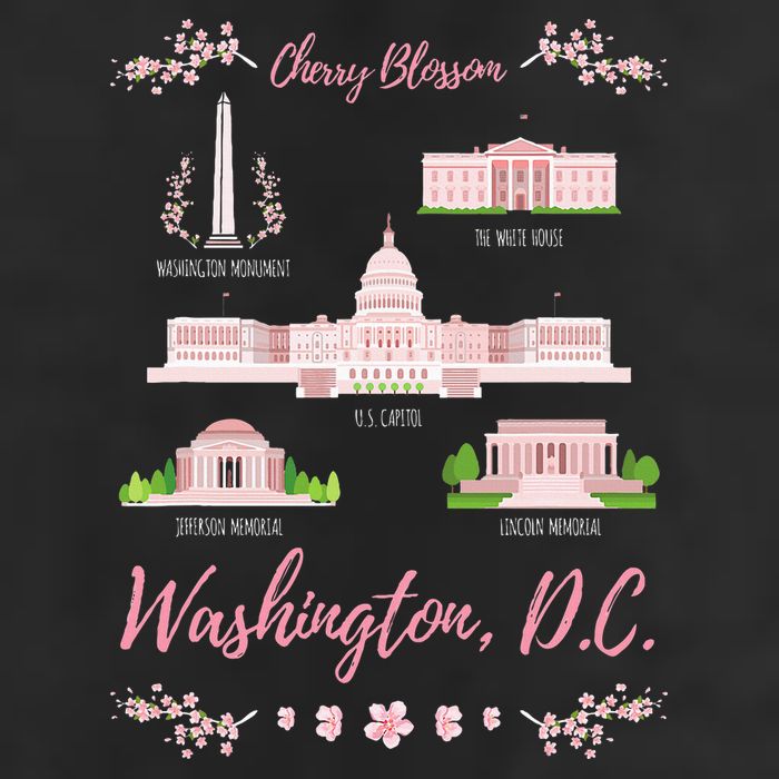 Washington Dc Cherry Blossom Monument 11oz C Handle Ceramic Mug