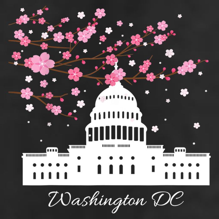 Washington DC Capitol Building Cherry Blossoms TShirt 7 Panel Mesh Trucker Snapback Hat
